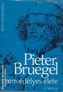 Felix Timmermans - Pieter Bruegel szenvedélyes élete ANTIKVÁR