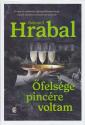 Bohumil Hrabal - Őfelsége pincére voltam