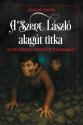 Fábián Tibor - A Szent László alagút titka