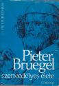 Felix Timmermans - Pieter Bruegel szenvedlyes lete ANTIKVR