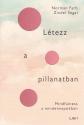 Norman Farb - Zindel Segal - Létezz a pillanatban